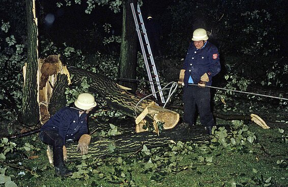 Der Abtransport der umgestürzten Eschen war ein anstrengendes und aufwändiges Unterfangen