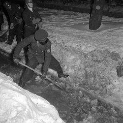 Teilweise mit echten Stunts der Einsatzkräfte