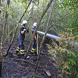 Beispielbild Waldbrandbekämpfung: 1.000 m² Wald am Rangierbahnhof waren in Brand